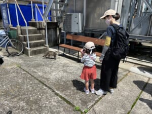 イベントパーク