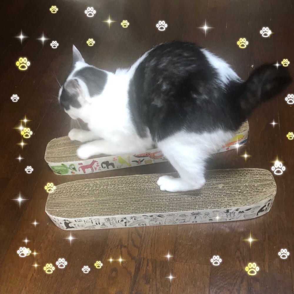 イベントイメージ