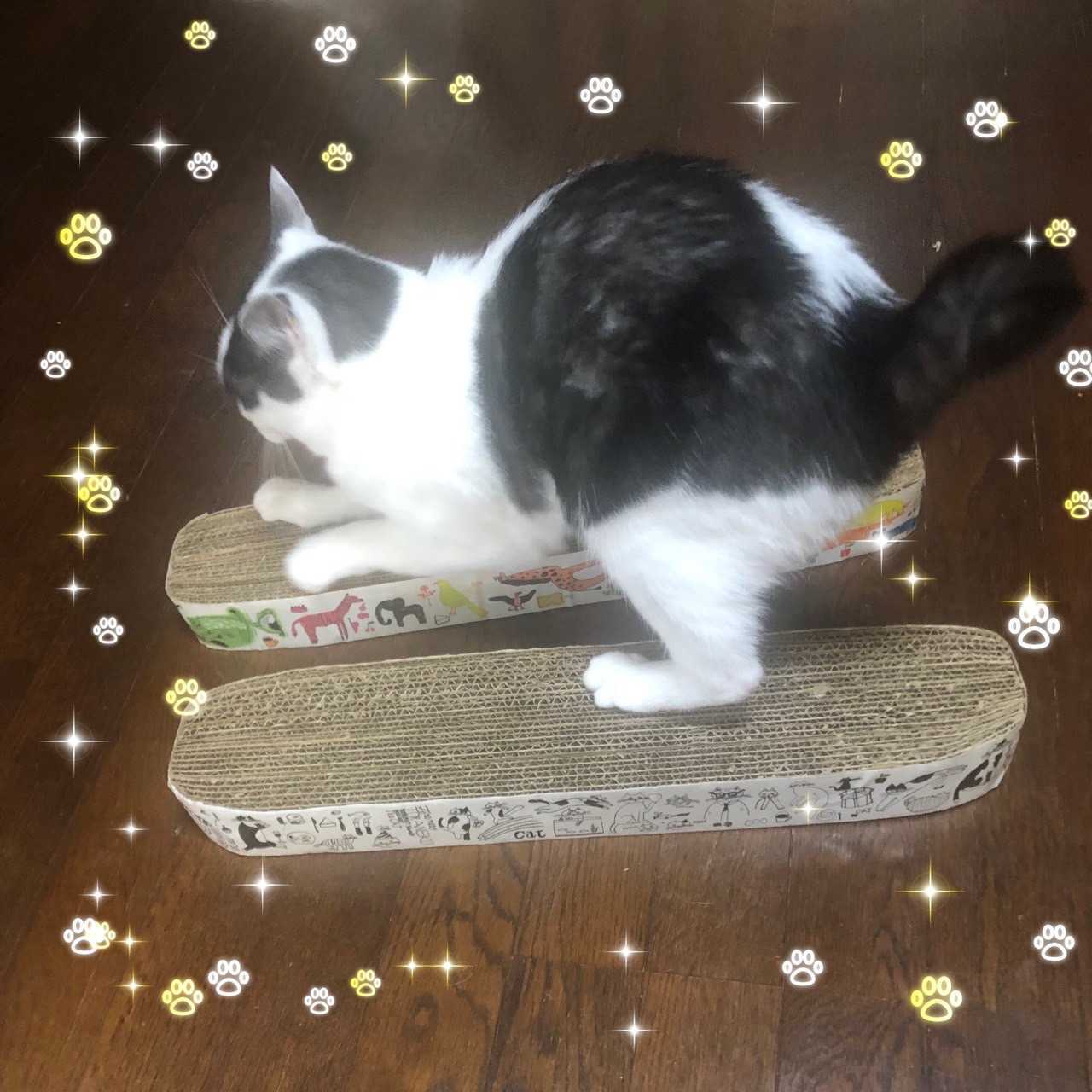 イベントイメージ